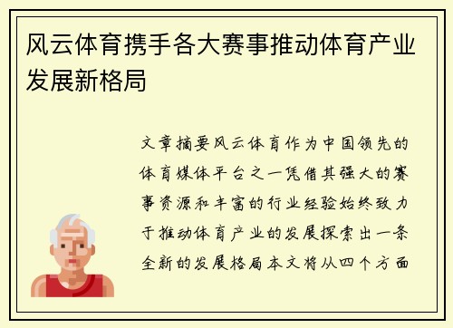 风云体育携手各大赛事推动体育产业发展新格局