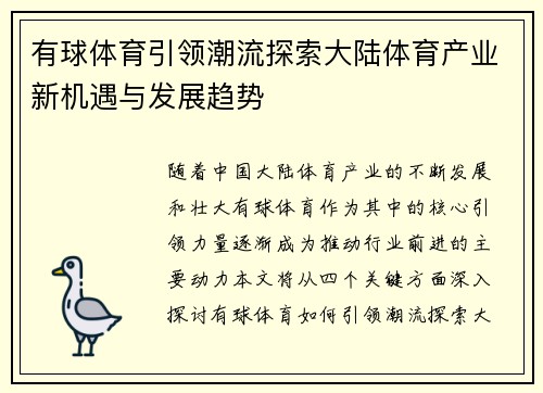 有球体育引领潮流探索大陆体育产业新机遇与发展趋势