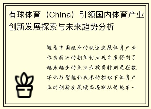 有球体育（China）引领国内体育产业创新发展探索与未来趋势分析